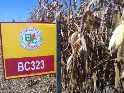 BC institut u Starom Topolju