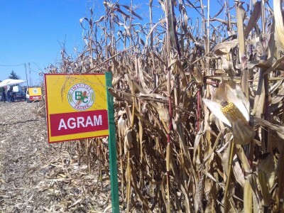 BC institut u Starom Topolju