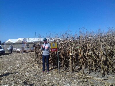 BC institut u Starom Topolju