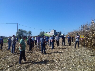 BC institut u Starom Topolju