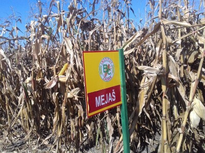 BC institut u Starom Topolju