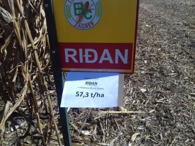 BC institut u Starom Topolju