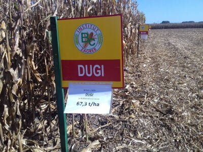 BC institut u Starom Topolju