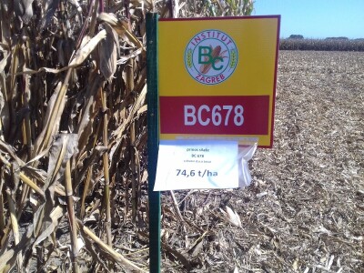 BC institut u Starom Topolju