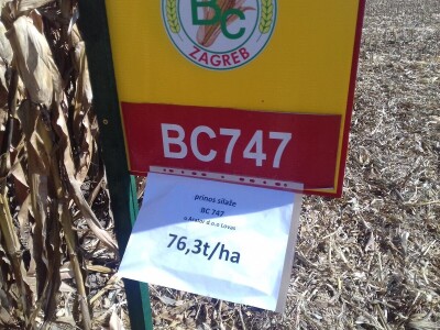 BC institut u Starom Topolju