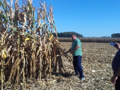 BC institut u Starom Topolju