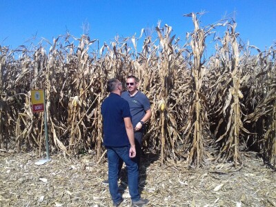 BC institut u Starom Topolju