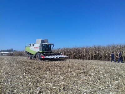 BC institut u Starom Topolju