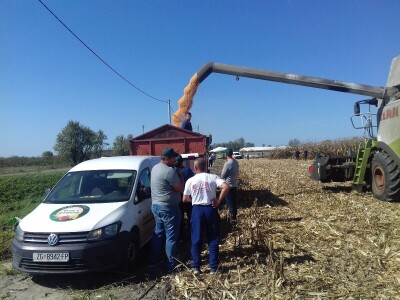 BC institut u Starom Topolju