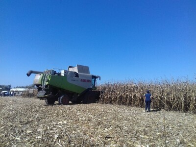 BC institut u Starom Topolju