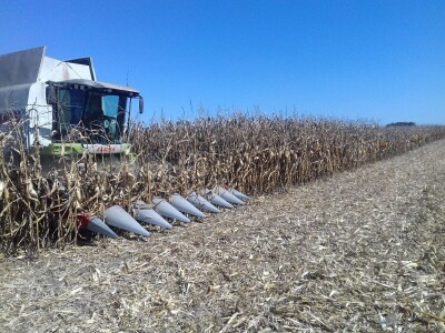 BC institut u Starom Topolju
