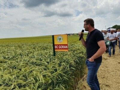 Dan polja BC strnih žitarica u Lovasu