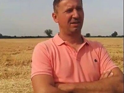 BC žetva u Starom Topolju