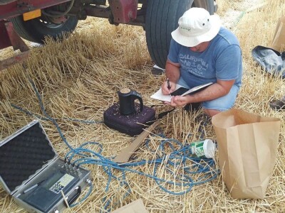 BC žetva u Starom Topolju