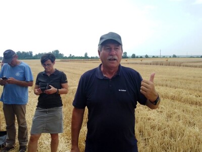 BC žetva u Starom Topolju