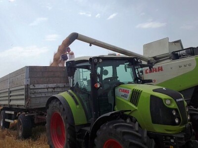 BC žetva u Starom Topolju