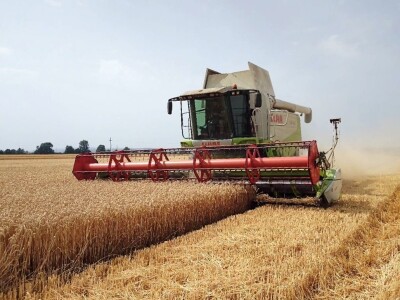 BC žetva u Starom Topolju