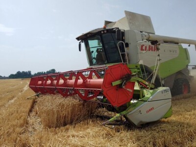 BC žetva u Starom Topolju