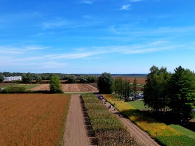 Bc Institut slavi 125 godina djelovanja