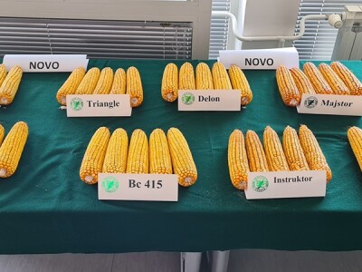 Dan polja Bc Instituta u Rugvici