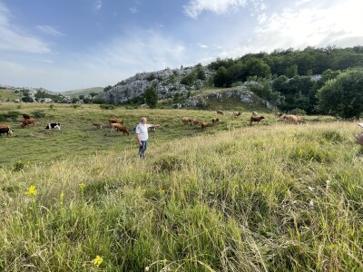 Tešija … ne objaviti još