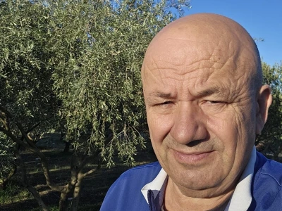 BERBA MASLINA U HERCEGOVINI