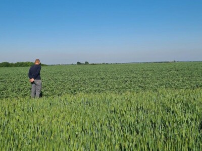 OPG Koprivanac Šljivoševci