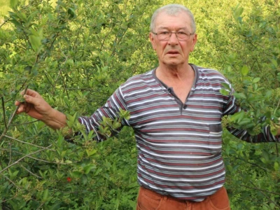 Bečka škola ili mudri trgovac - iz kuće odlazi s buketom, vraća se punih džepova