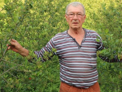 Bečka škola ili mudri trgovac - iz kuće odlazi s buketom, vraća se punih džepova