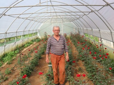 Bečka škola ili mudri trgovac - iz kuće odlazi s buketom, vraća se punih džepova