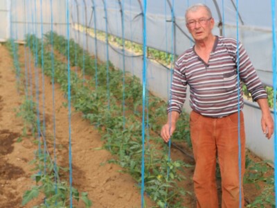 Bečka škola ili mudri trgovac - iz kuće odlazi s buketom, vraća se punih džepova