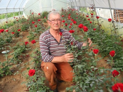 Bečka škola ili mudri trgovac - iz kuće odlazi s buketom, vraća se punih džepova