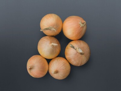 Bejo Zaden - proizvodnja ozimog luka