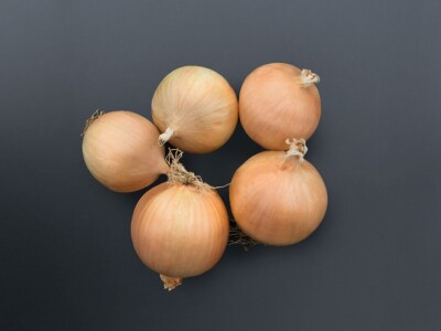 Bejo Zaden - proizvodnja ozimog luka