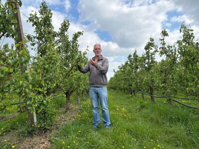 Belgijski voćar: ako zabrane pripravke na bazi bakra odustajem od organskog uzgoja krušaka! Belgijski voćar: ako zabrane pripravke na bazi bakra odustajem od organskog uzgoja krušaka!