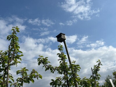 Belgijski voćar: ako zabrane pripravke na bazi bakra odustajem od organskog uzgoja krušaka! Belgijski voćar: ako zabrane pripravke na bazi bakra odustajem od organskog uzgoja krušaka!