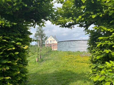 Belgijski voćar: ako zabrane pripravke na bazi bakra odustajem od organskog uzgoja krušaka!