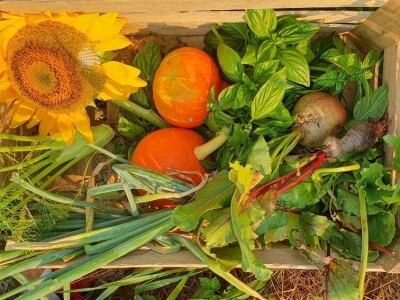 Belgijski vrtlar u Zagrebu Belgijski vrtlar u Zagrebu