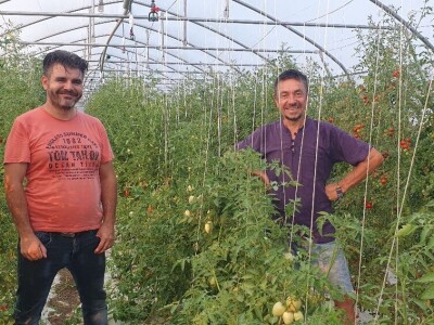 Belgijski vrtlar u Zagrebu Belgijski vrtlar u Zagrebu