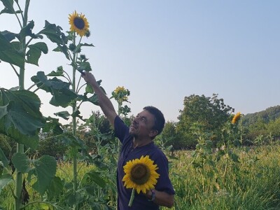 Belgijski vrtlar u Zagrebu Belgijski vrtlar u Zagrebu