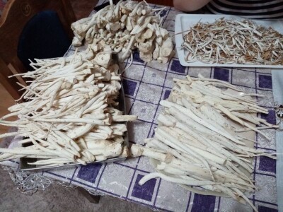 Beli slez najisplativiji, neven najteži za branje