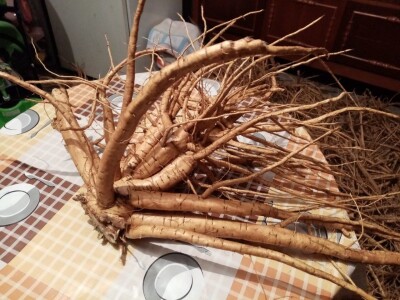 Beli slez najisplativiji, neven najteži za branje