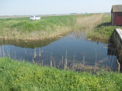 Navodnjavanje Slavonije i Baranje Navodnjavanje Slavonije i Baranje