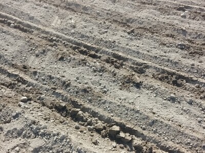 Nakon sjetve Nakon sjetve