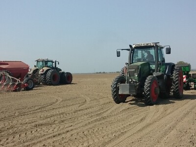 Precizna sjetva na Belju Precizna sjetva na Belju
