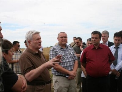 Belje - žetva pšenice 2011.