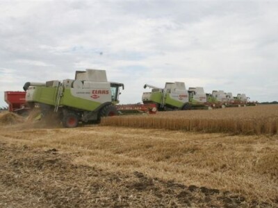 Belje - žetva pšenice 2011.