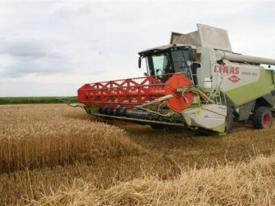 Belje - žetva pšenice 2011.