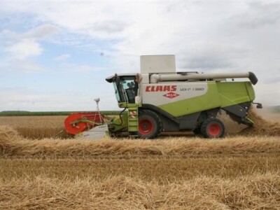 Belje - žetva pšenice 2011.