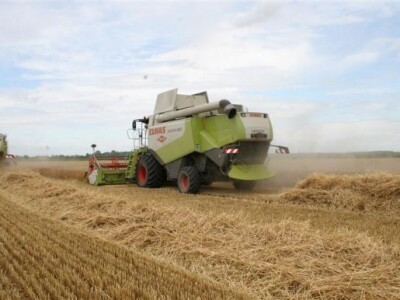 Belje - žetva pšenice 2011.